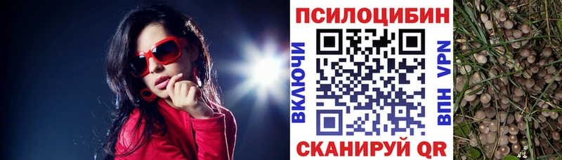 Галлюциногенные грибы MAGIC MUSHROOMS  Будённовск 